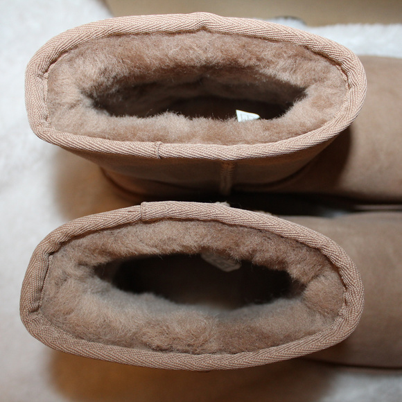 UGG SUEDE CLASSIC MINI BOOTS - Picture 2 of 7